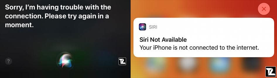 Siri having trouble with internet connection on iPhone