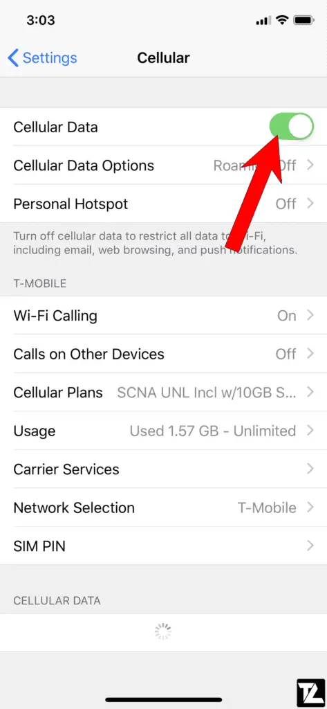 Toggle Cellular Data