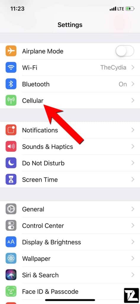 iPhone Cellular Settings