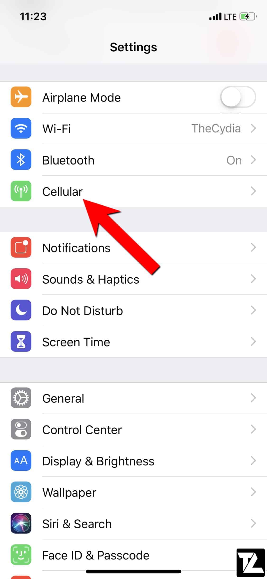 iPhone Cellular Settings