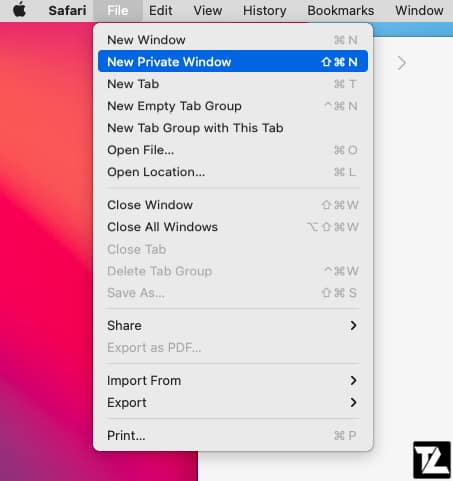 Safari File Menu New Private Window Option