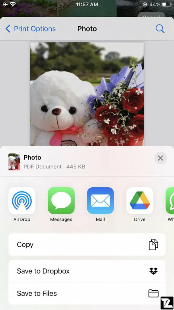 iOS Album Photos Print Share PDF