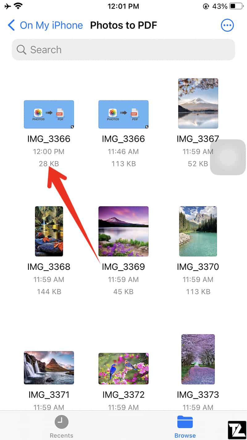 iOS Files app Photo converted to PDF